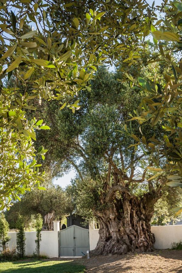 Villa Laoura 스보로나타 외부 사진